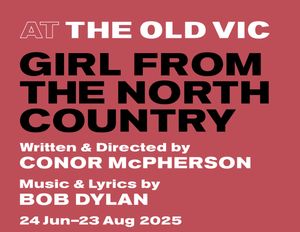Girl From the North Country Broadway Show | Broadway World